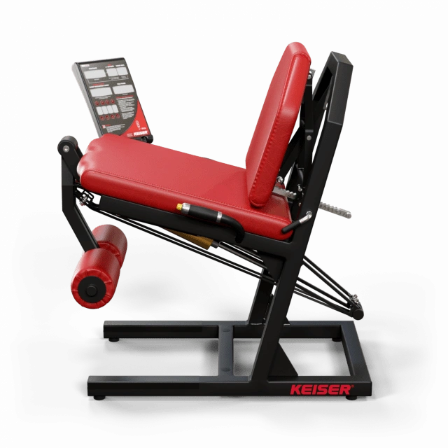 A300 Leg Extension Pro