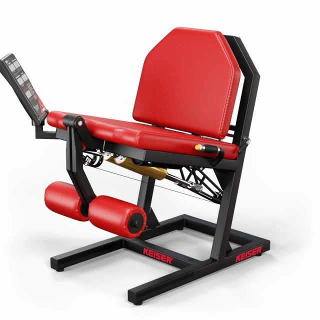 A300 Leg Extension Pro