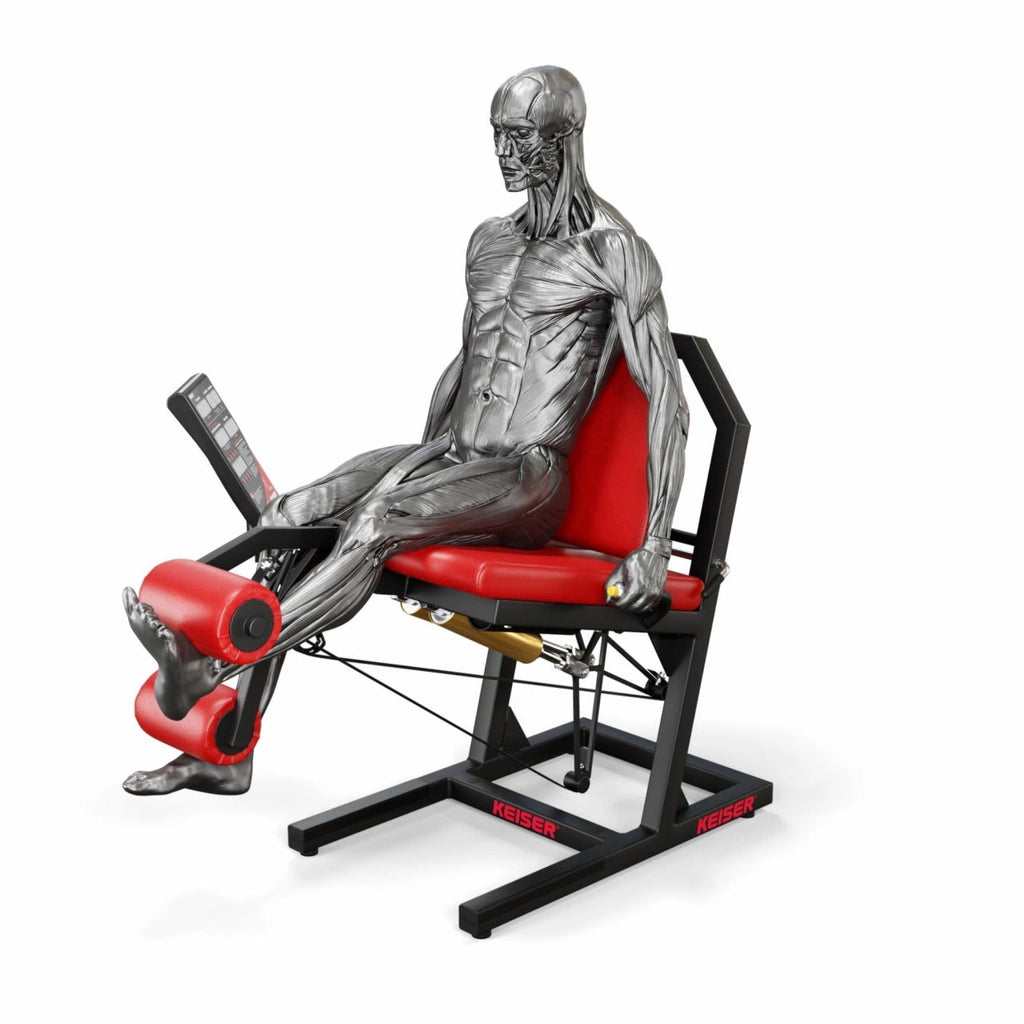 A300 Leg Extension Pro