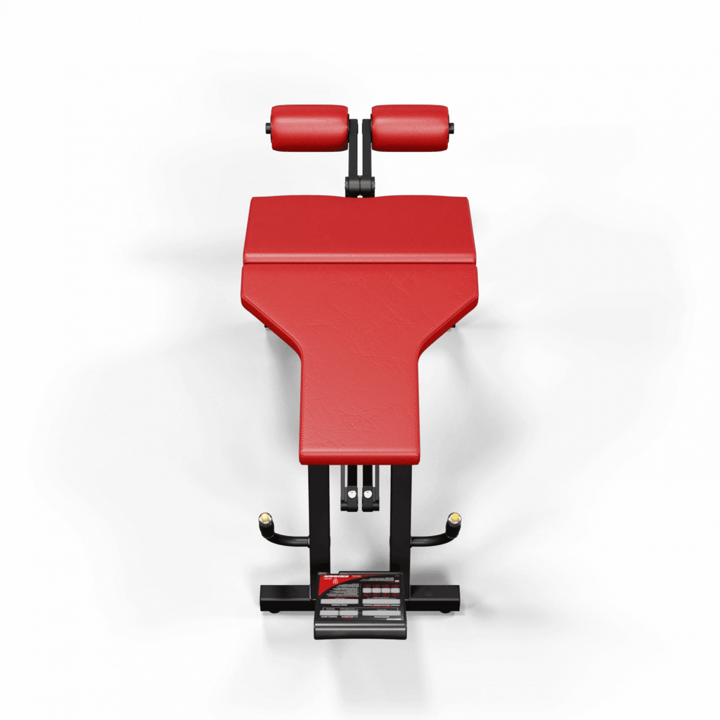 A300 Leg Curl Pro