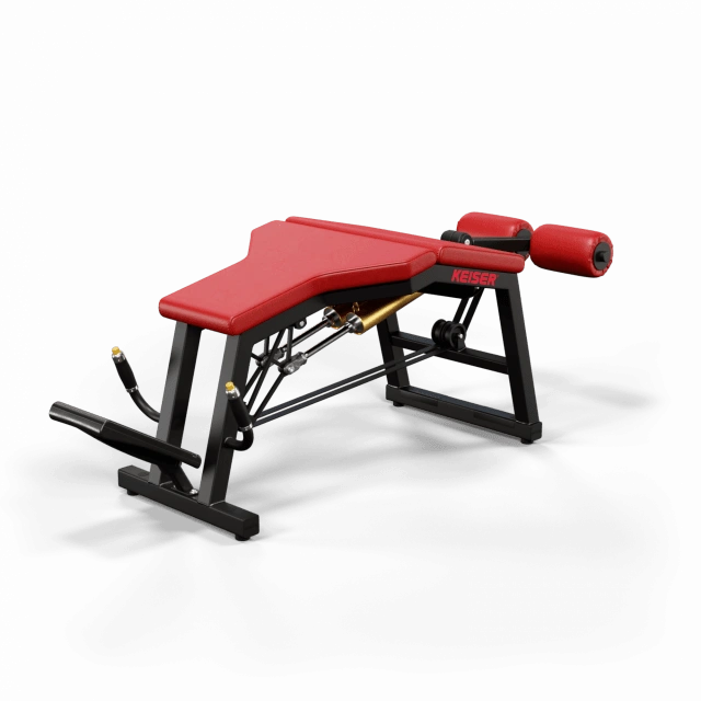 A300 Leg Curl Pro