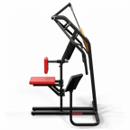 A250 Upper Back