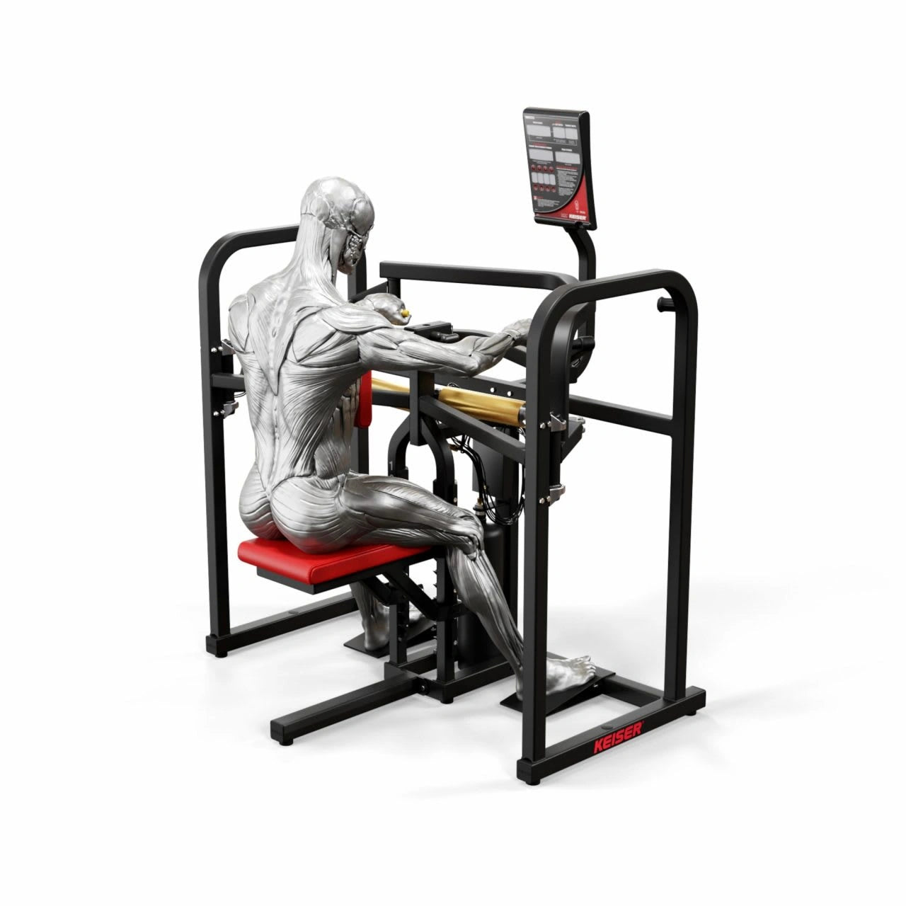 A350 Biaxial Upper Back