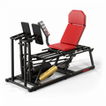 A300 Leg Press