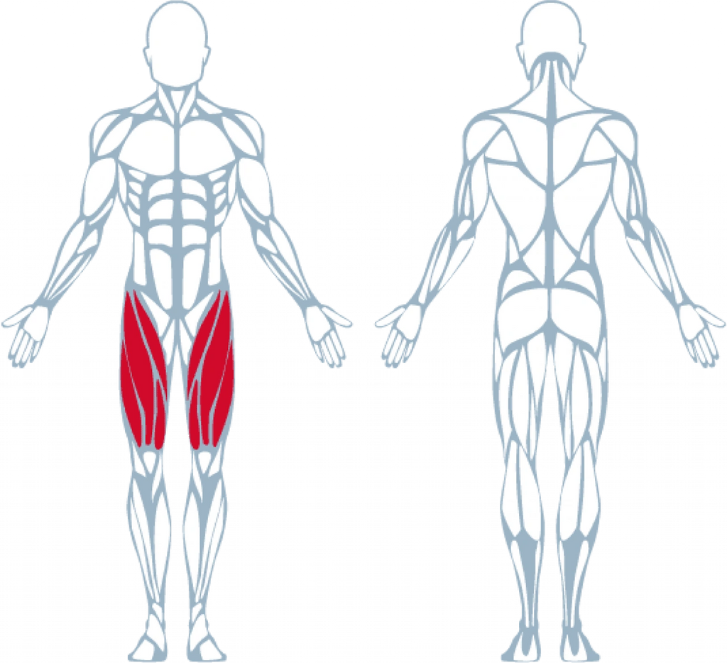 A300 Leg Extension Pro