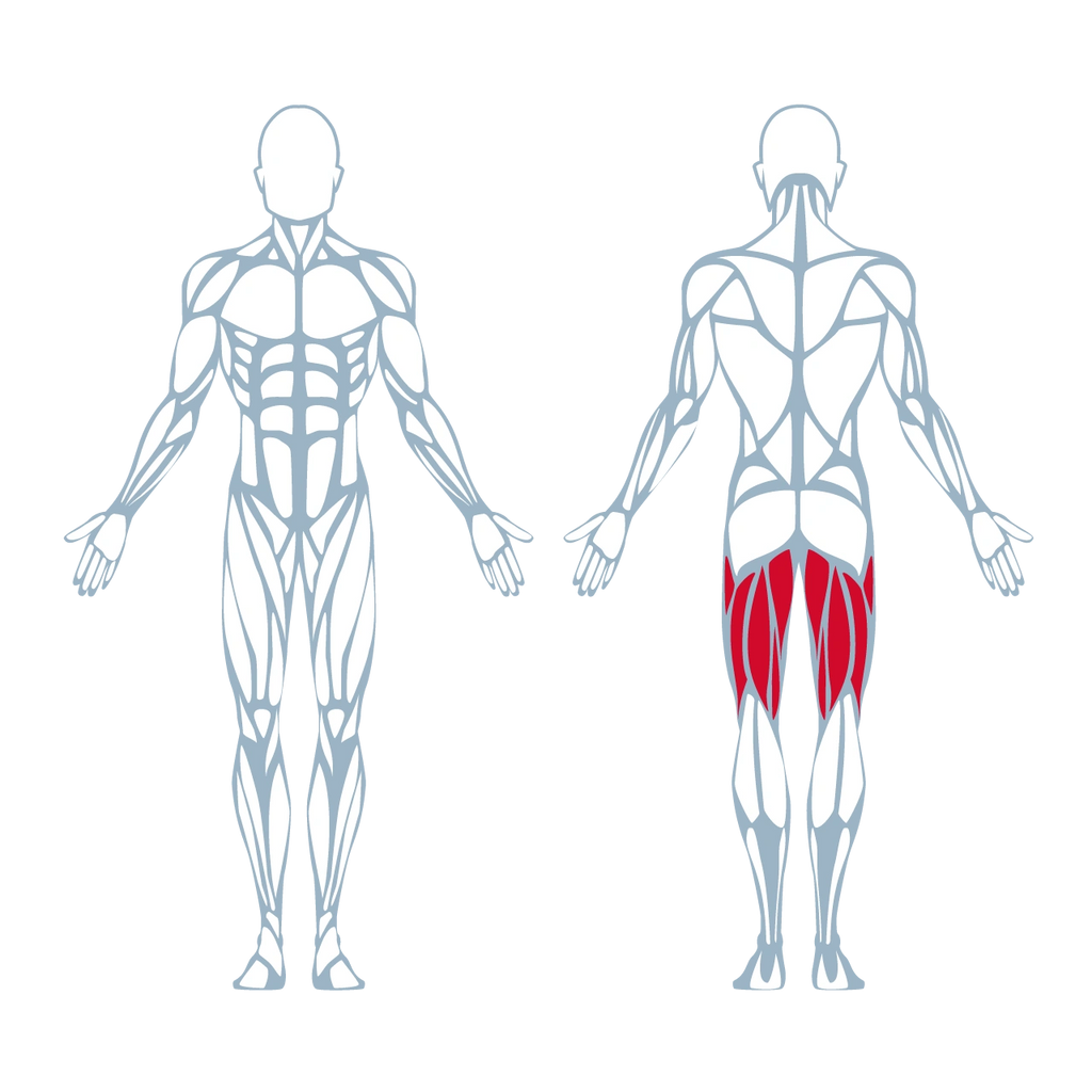 A300 Leg Curl Pro