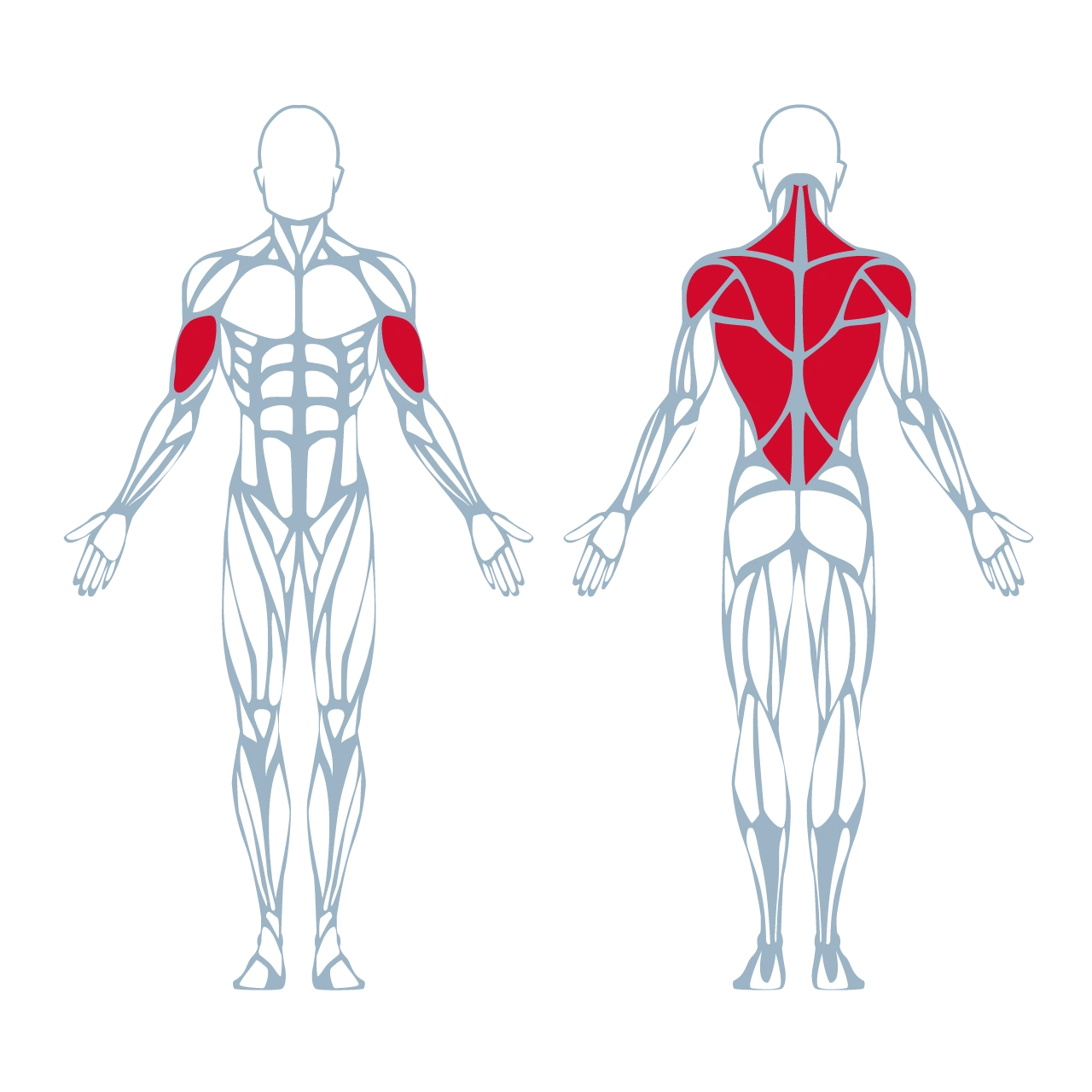 A350 Biaxial Upper Back