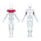 A350 Biaxial Chest Press