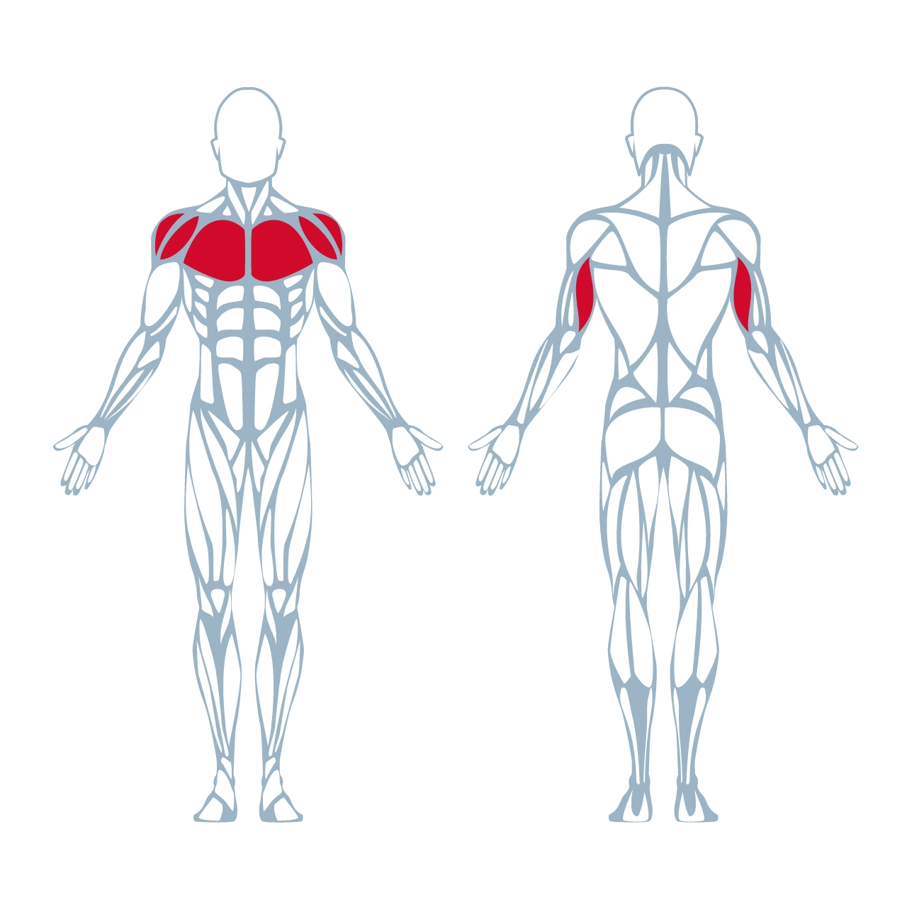 A350 Biaxial Chest Press