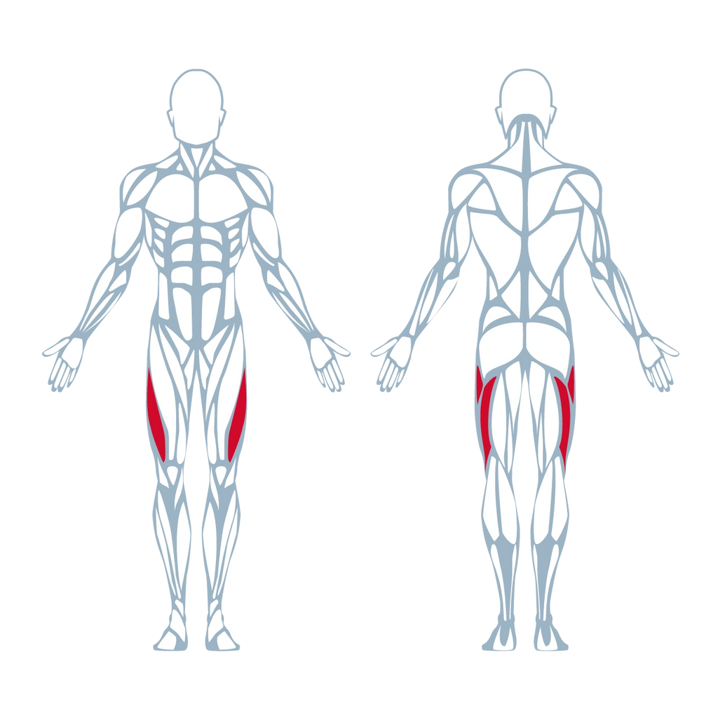 A300 Hip Abductor