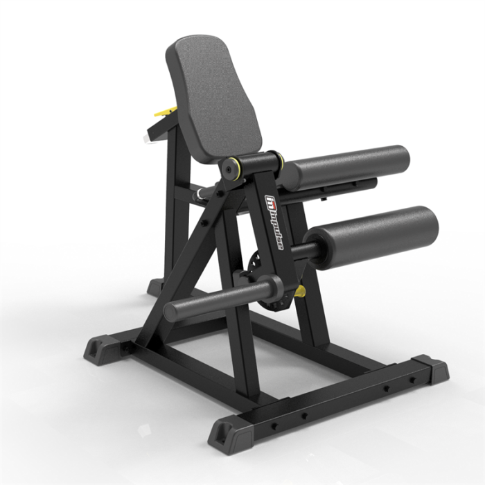Impulse Seated Leg Extension