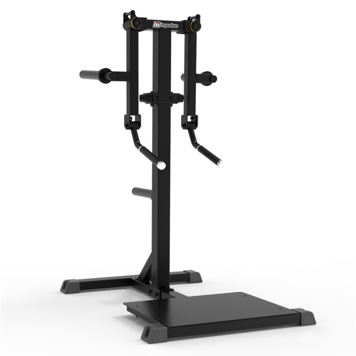 Impulse Standing Lateral Raise