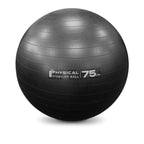 Pro Stability Balls NEW